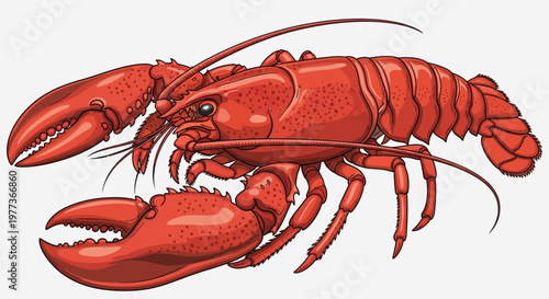 Vibrant Red Lobster Illustration with Detailed Claws, Antennae, and Carapace