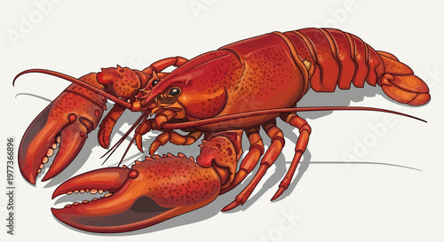 Vibrant Red Lobster Illustration with Detailed Claws and Antennae