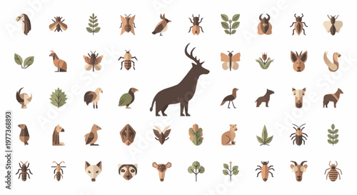 Collection of Various Animals and Insects Illustrations.