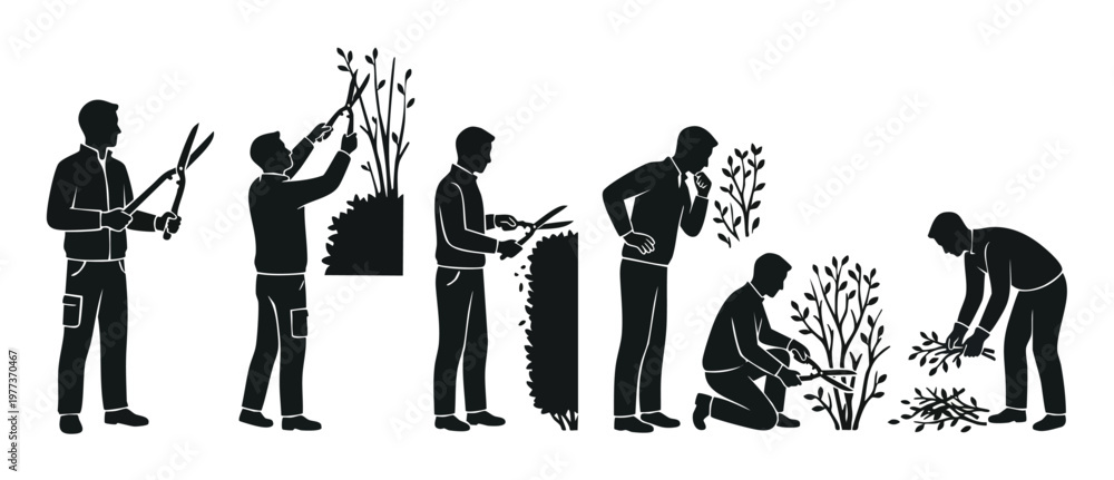 Obraz premium Gardener pruning shrubs silhouette icon set, professional landscaping maintenance process, man trimming plants with shears and collecting garden waste, black and white vector illustration of yard work