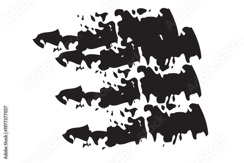 black and white vector illustration