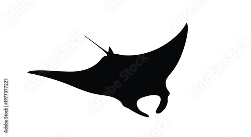 Elegant manta ray gracefully gliding through water a striking silhouette