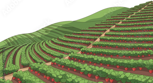 Cartoon Illustration of a Strawberry Farm on a Hillside