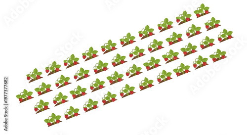 Rows of Cartoon Strawberry Plants with Red Berries and Green Leaves