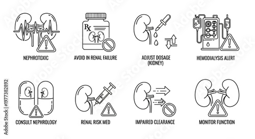 Kidney disease, nephrotoxic, renal failure icons, medical warning signs, nephrology symptoms