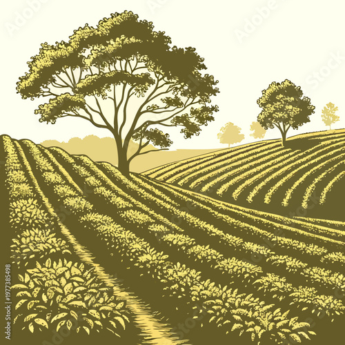A vintage style illustration depicts a rolling landscape of cultivated fields featuring a prominent tree and distant hills high quality professional detailed