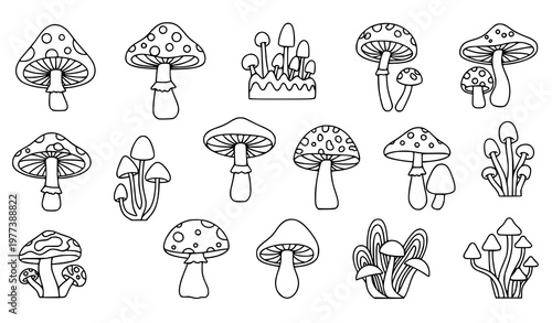 A set of black and white line art illustrations of various mushrooms and fungi