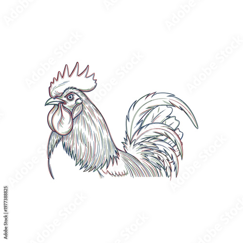 Rooster bird with large comb feathers.