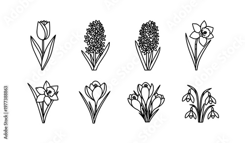 A set of nine black and white line art illustrations of spring flowers