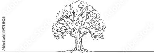minimal continuous line drawing of a broad-leaved tree, line art vector illustration