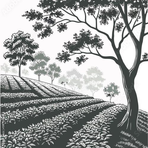 A detailed grayscale illustration depicts a lush landscape featuring rolling hills a field and several trees with dense foliage high quality professional