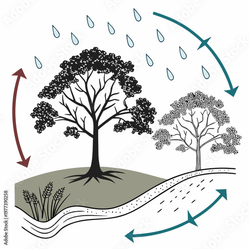 This illustration depicts the water cycle showcasing evaporation condensation precipitation and collection with trees and terrain high quality professional detailed modern elegant