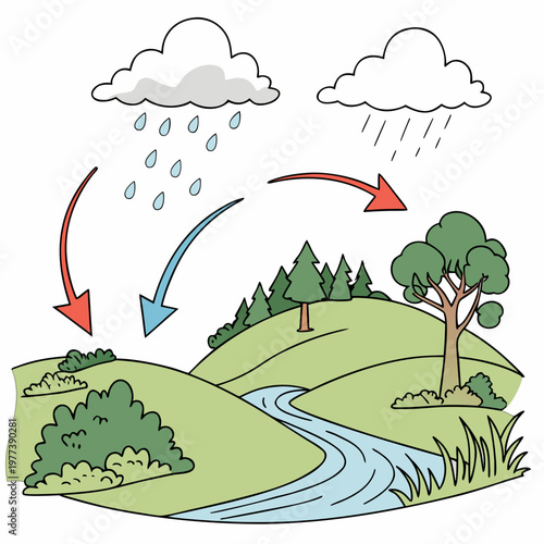 This colorful illustration depicts the water cycle showcasing evaporation condensation precipitation and collection over a green landscape high quality professional detailed modern