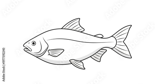Fish Side View Illustration.