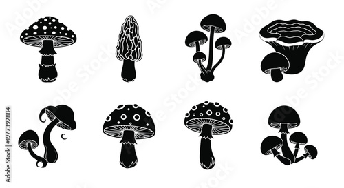 Collection of various mushroom shapes in a bold black silhouette