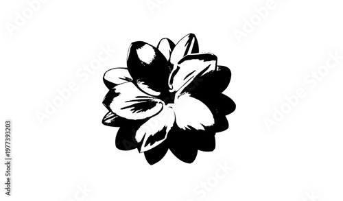 Single white jasmine flower vector Thai jasmine bloom isolated on white background with clipping path