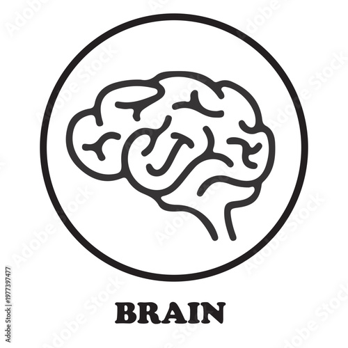 Brain Icon
