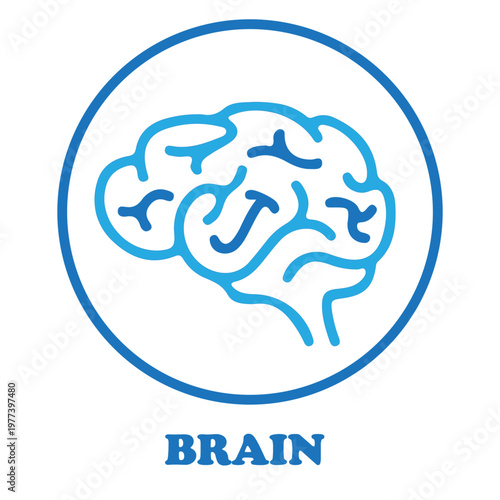 Human Brain Icon