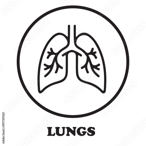 Lungs Icon