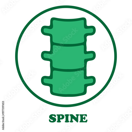 Spine Health Icon