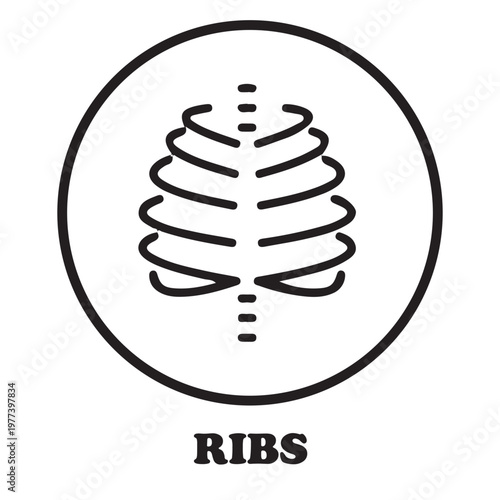 Rib Cage Icon