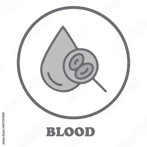 Blood Drop Magnified