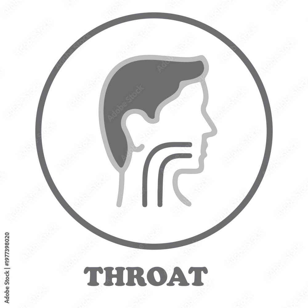 Obraz premium Throat anatomy icon