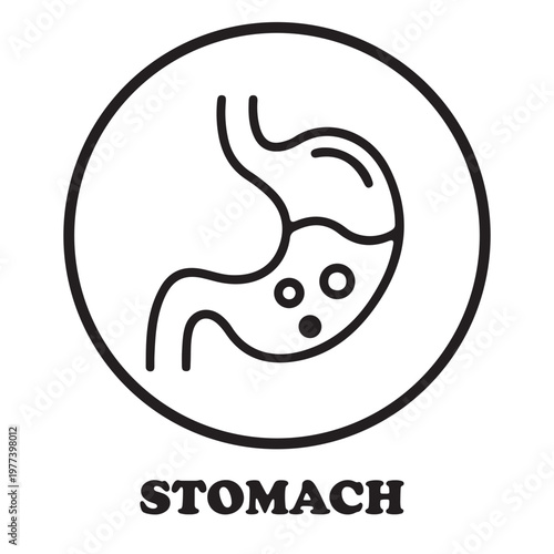 Digestive System Icon