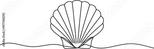 Continuous line drawing of scallop shellfish. Hand drawn One line of shell. One line draw graphic design vector