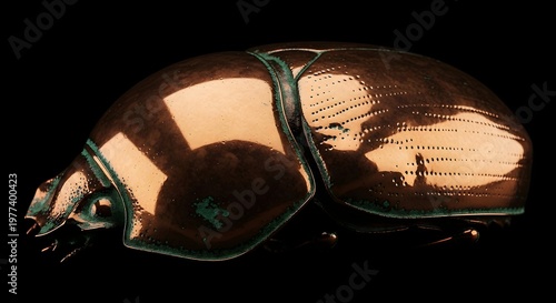 Close-up view of a gleaming copper metallic beetle shell showcasing intricate texture and subtle verdigris highlights