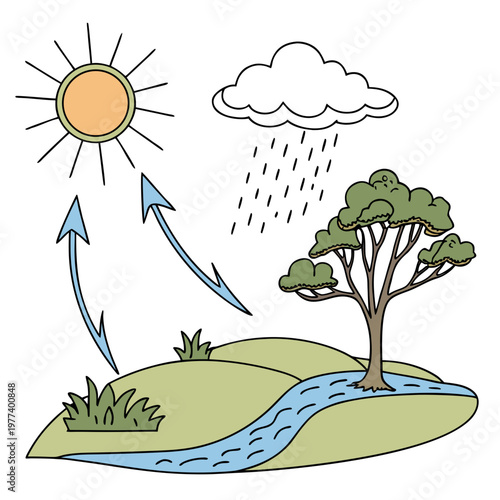 This colorful illustration depicts the water cycle showcasing evaporation condensation precipitation and collection in a simple landscape high quality professional detailed modern