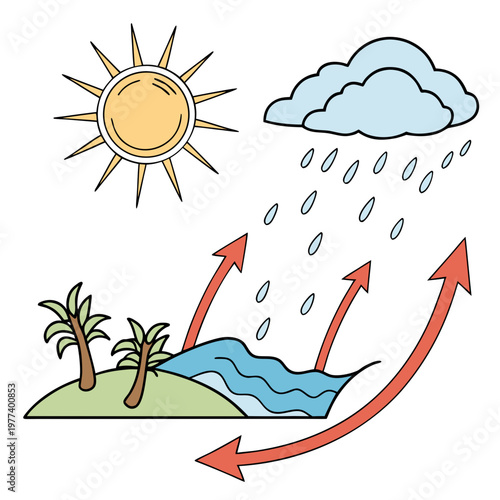 This colorful illustration depicts the water cycle showcasing evaporation condensation precipitation and collection in a simple diagram high quality professional detailed modern