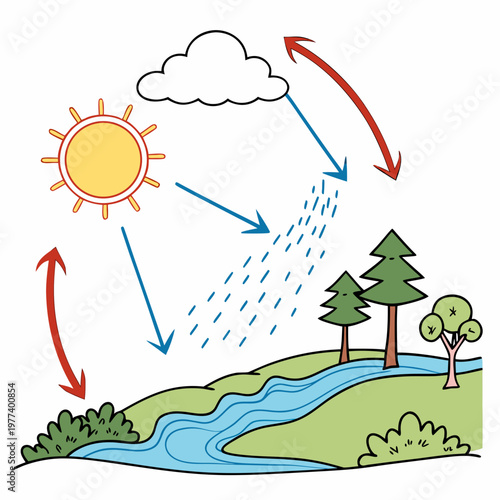 This colorful illustration depicts the water cycle showing evaporation condensation precipitation and collection with sun clouds and trees high quality professional detailed
