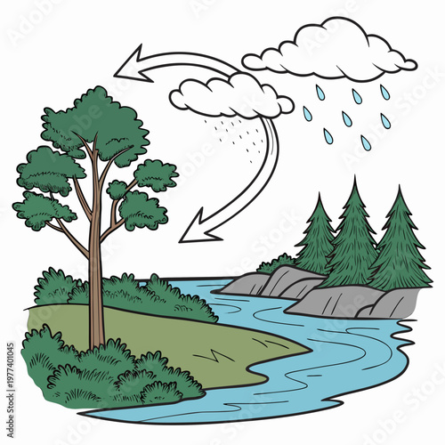 This colorful illustration depicts the water cycle showing evaporation condensation precipitation and collection within a natural landscape high quality professional detailed modern