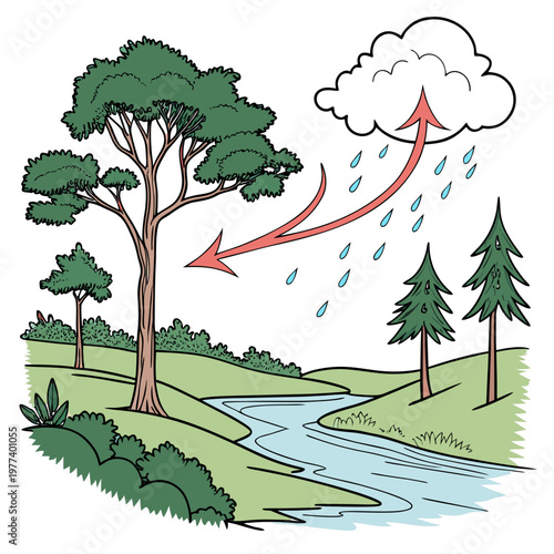 A colorful illustration depicts the water cycle showcasing evaporation from a river and precipitation falling onto trees and land high quality professional