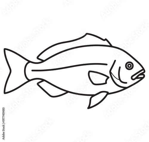 A simple line drawing of a fish swimming to the right side  illustration