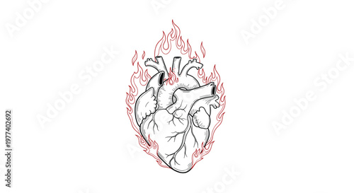 Detailed anatomical heart illustration surrounded by bright red flames represents intense passion and emotion.