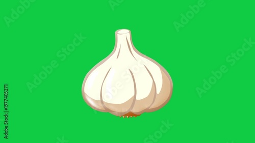 2D Animated Whole Garlic Bulb with Natural Texture for Cooking Ingredient