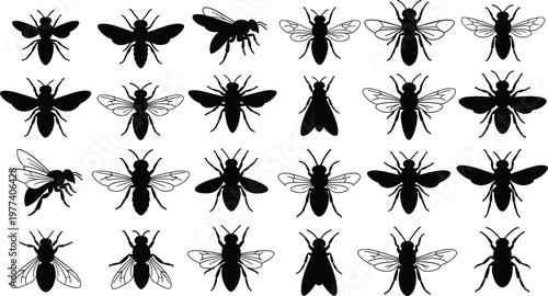 Honey Bee And Bumblebee Silhouette Vector Set Featuring Various Insect Poses And Wing Patterns For Nature Conservation Beekeeping Honey Production And Biology Graphic Designs