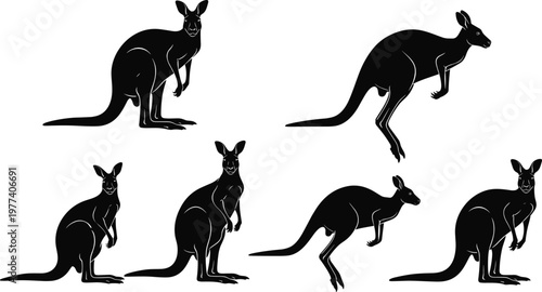 Collection of kangaroo silhouettes in various poses, jumping and standing, black vector illustration isolated on light background, Australian wildlife marsupial animal design set