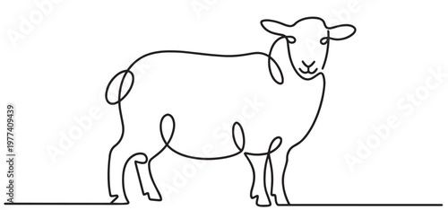 minimalist continuous line drawing of a sheep or lamb. symbol for farm animals, agriculture, or the livestock industry. vector