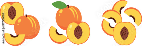 Peach fruit collection whole and sliced juicy summer fruit cartoon vector illustration set of fresh healthy food isolated on light background