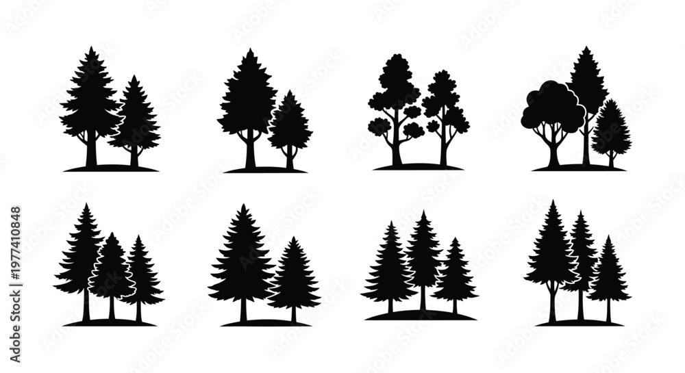 Obraz premium Collection of coniferous and deciduous trees in a dark silhouette