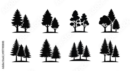 Collection of coniferous and deciduous trees in a dark silhouette