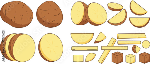 Potato collection vector illustration with whole, sliced and cut pieces, fresh vegetable ingredient set for cooking, food design and organic nutrition themes