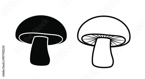 Two mushrooms depicted in contrasting styles a bold silhouette