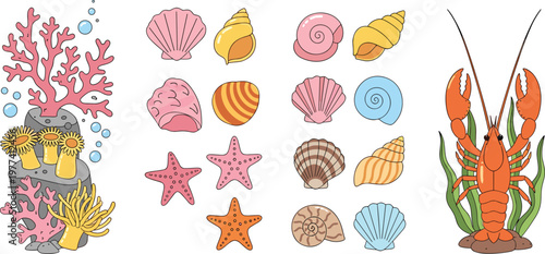 Sea shells and coral collection vector illustration with starfish, lobster and marine elements, colorful ocean set for beach design and underwater themes