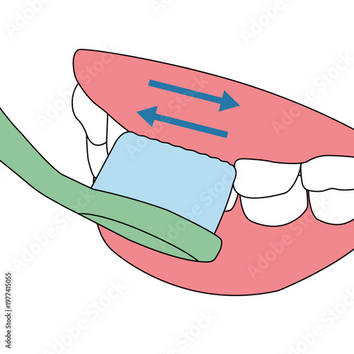 Brushing Front Teeth and Incisors with Horizontal Cleaning Motion