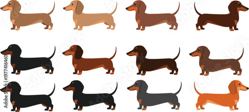 Dachshund dog cartoon collection vector illustration with different colors and poses, cute sausage dog characters set for pet design and animal themes