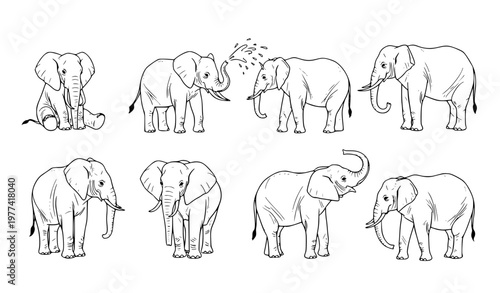 Photography Minimalist Hand Drawn Elephant Pose Set Vintage Ink Sketch Wildlife Illustration